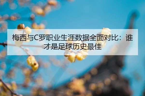 mei-xi-yu-luo-zhi-ye-sheng-ya-shu-ju-quan-mian-dui-bi-shui-cai-shi-zu-qiu-li-shi-zui-jia-2-119.jpg