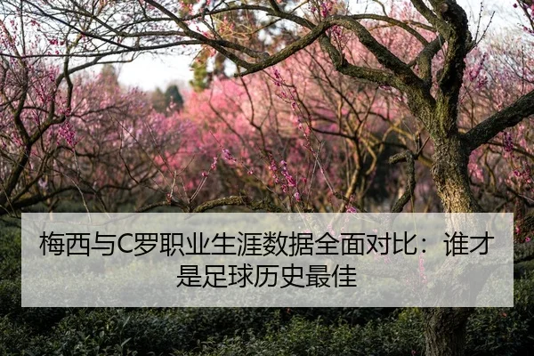 mei-xi-yu-luo-zhi-ye-sheng-ya-shu-ju-quan-mian-dui-bi-shui-cai-shi-zu-qiu-li-shi-zui-jia-1-139.jpg