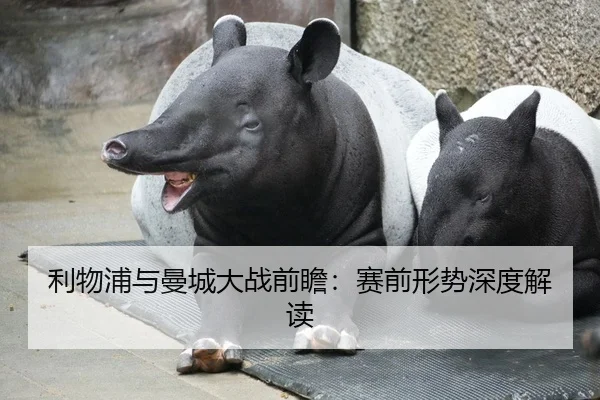 利物浦与曼城大战前瞻：赛前形势深度解读